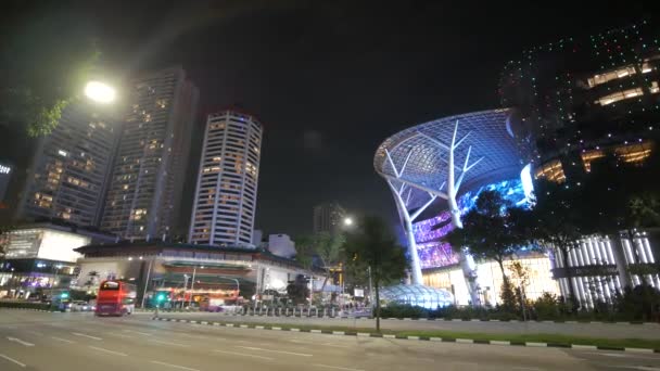 Singapour Juin 2022 Ion Centre Commercial Orchard — Video
