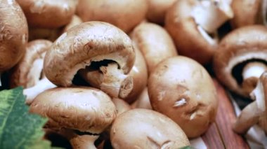 Şampiyon mantar yığını, yaklaşın. ,