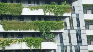  Binanın ön cephesinde bitkiler yetişiyor..