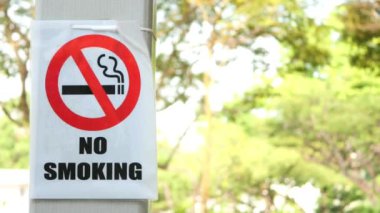 Kamu parkındaki ağaçta duman işareti yok..,