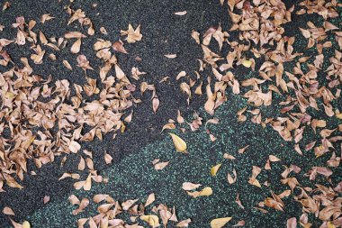 Ahşap zemin üzerinde kuru kahverengi yaprak ,