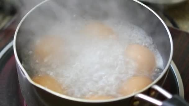 在热水中煮蛋 — 图库视频影像