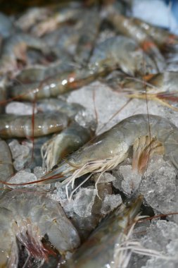 Masadaki karideslerin kapağını kapat.