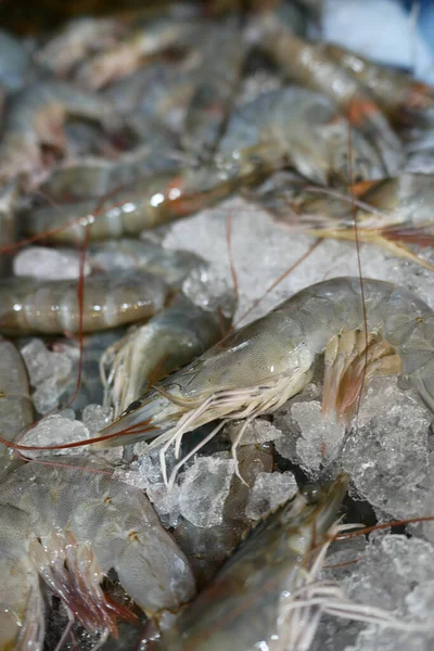 stock image close up of king prawn on plate on table