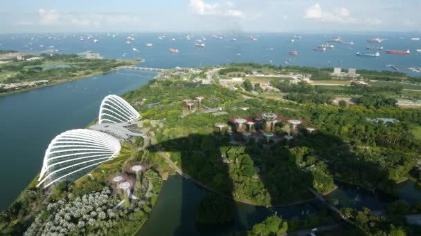 Singapore June 2022 Aerial Shot Gardens Bay Sunny Day — Vídeo de stock