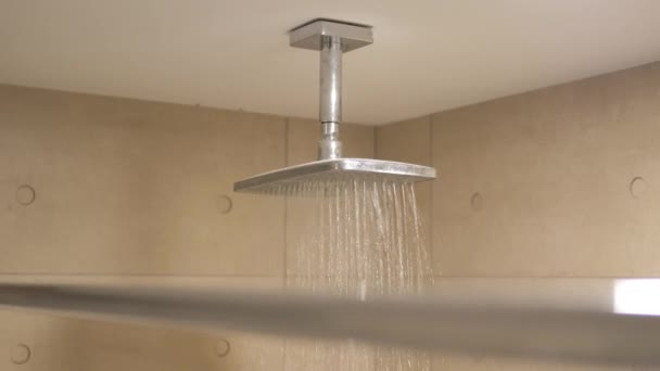シャワーヘッドから落下する水 — ストック動画