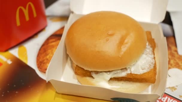 Singapore Giugno 2022 Pesce Burger Patatine Fritte — Video Stock