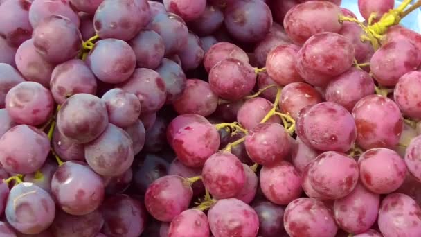 Νωπά Κόκκινα Φρούτα Σταφυλιών Παρατάσσονται Εμφάνιση — Αρχείο Βίντεο