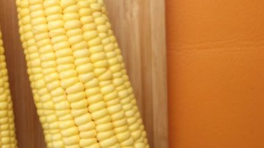 Sweet corns on white background close up ,