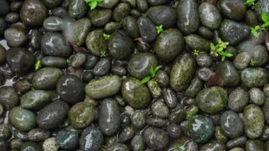 Taşa düşen yağmurun en üst görüntüsü ,