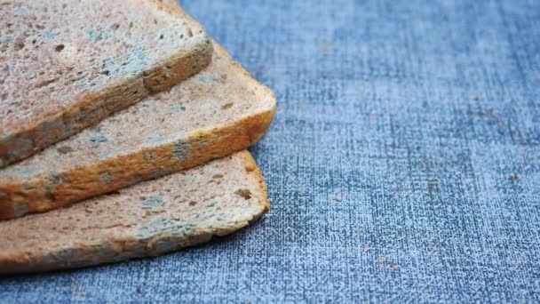Brunt Bröd Med Mjöldagg Bortskämda Produkter — Stockvideo