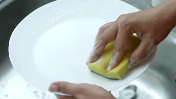 Mulheres Mão Limpando Uma Chapa Com Uma Esponja — Vídeo de Stock