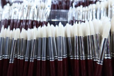 Birçok sanat fırçası yerel mağazada sıraya dizildi .