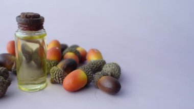 Meşe palamudu uçucu yağ beyaz arka plan izole