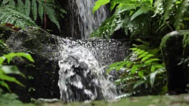  Şelalenin yavaş çekimleri Doğal Park Singapur 'da ,