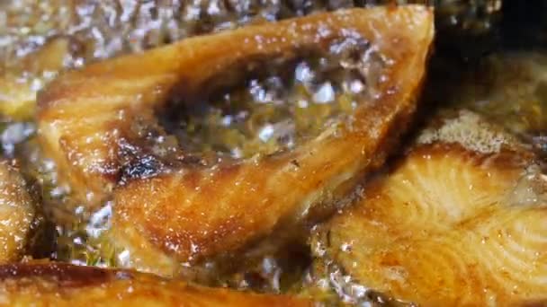 Close Cooking Ilsha Fish Cooping Pan — Vídeos de Stock