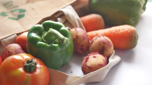 Cartel Flechas Recicladas Una Bolsa Compras Con Verduras — Vídeo de stock