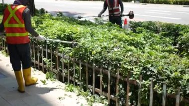  Singapur 22 Haziran 2022. Belediye çalışanı düşen yaprakları temizliyor. ,