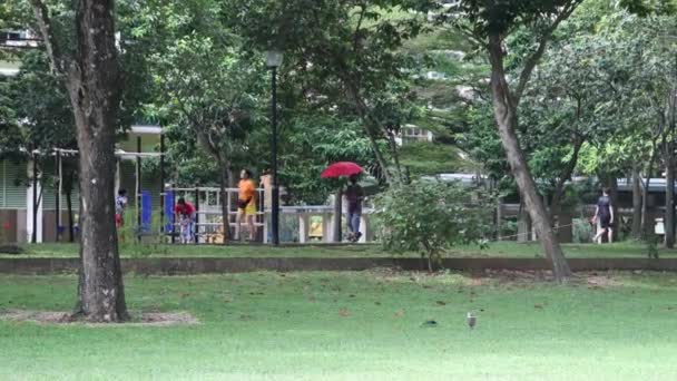 Jogging Park Singapore — Stock video