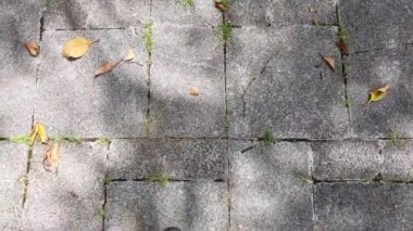 Beton zeminde ayakkabılı bir adam