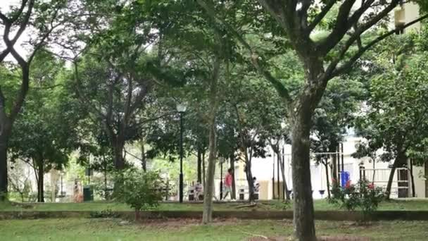 在新加坡公园里慢跑 — 图库视频影像