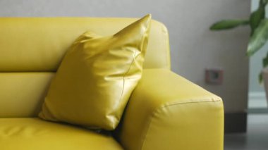 yellow color modern sofa with pillows in living room at home.