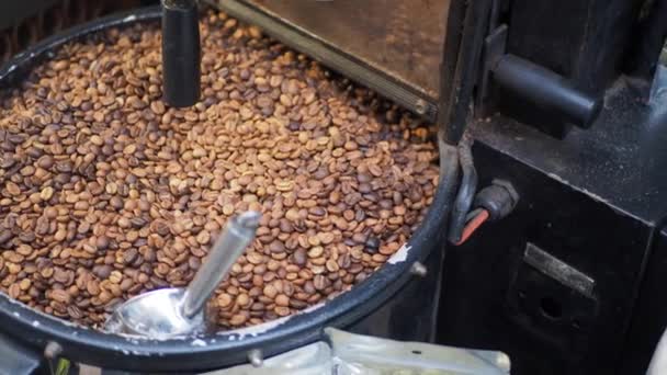 コーヒー加工機の中の新鮮なコーヒー豆は — ストック動画