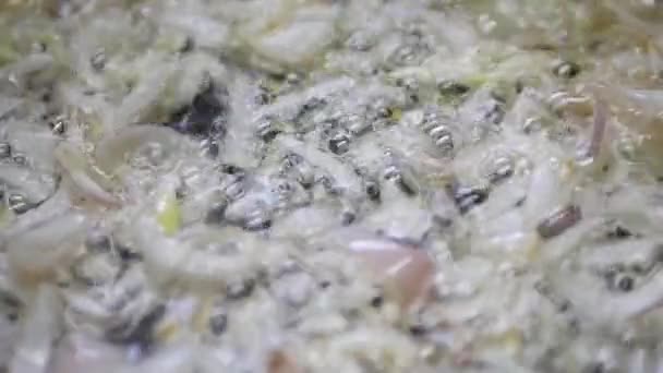 Poner Cebolla Sobre Aceite Vegetal Sartén — Vídeos de Stock