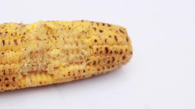 Sweet corns on white background close up ,