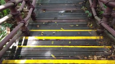 Karanlık Orman Gölü 'ndeki eski iskelede yürürken pov fotoğrafı..