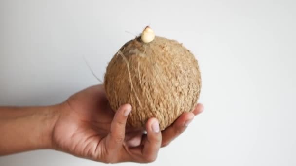 Mit Einer Frischen Kokosnuss Vor Weißem Hintergrund — Stockvideo