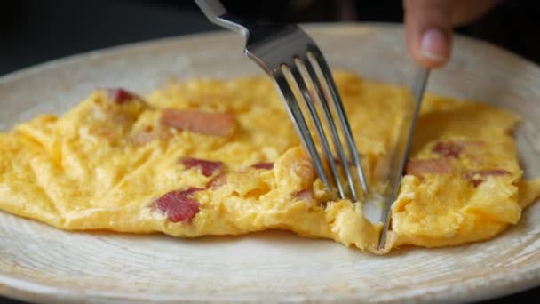 Women Eating Plain Egg Omelette — Wideo stockowe