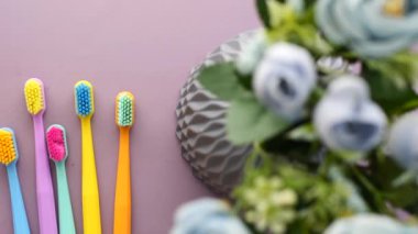  Mor arkaplanda renkli diş fırçaları .