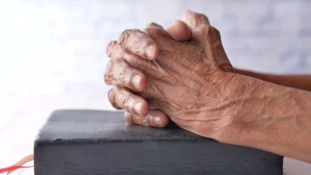 Senior Women Holding Bible His Hands Praying — Stock Video