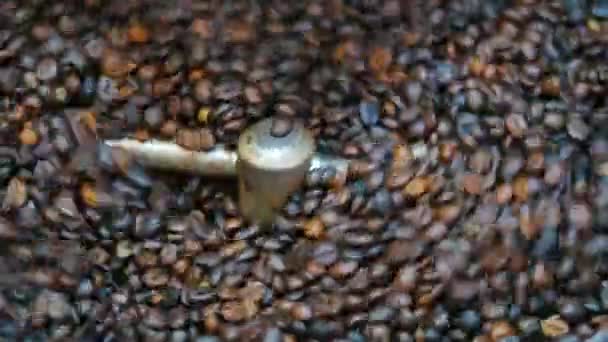 Fabrikada Kahve Çekirdeği Kızartıyorum — Stok video