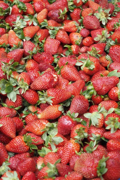 在桌上的碗里放成熟的红草莓 — 图库照片