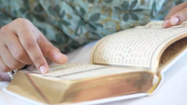 Mujeres Musulmanas Lectura Mano Quran — Vídeo de stock