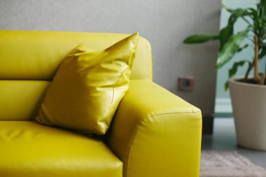 Evdeki oturma odasında yastıklı modern sarı kanepe..