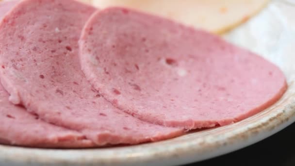 Salami Sausage Cut Thin Pieces — Wideo stockowe