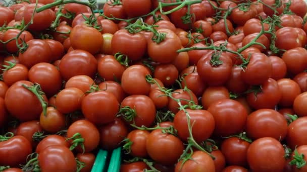Mazzo Pomodori Maturi Sullo Scaffale Del Supermercato — Video Stock