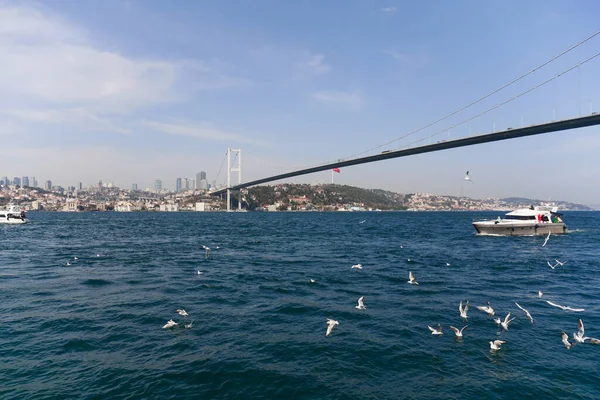 Ferryboat Naviguer Sur Rivière Bosphore Istanbul — Photo