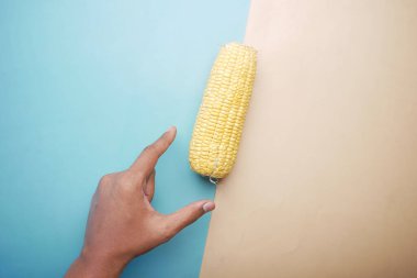 Mısır koçanına ulaşmak için el. .