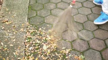 cleaning the fallen leaves in the park.