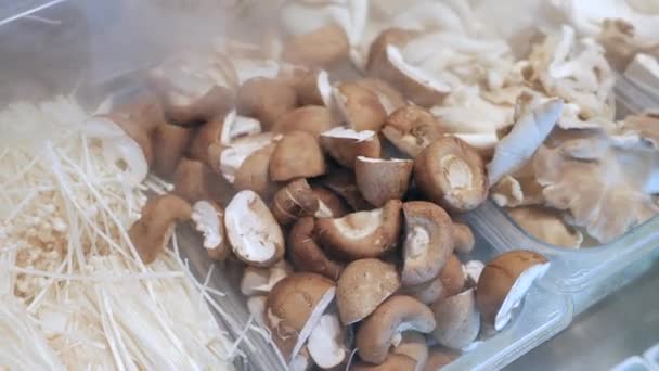 Смешанные Грибы Холодильнике Холодный Воздух Выходящий Холодильник — стоковое видео