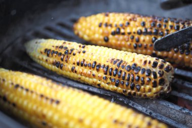 Izgarada taze mısır kızartıyorum.