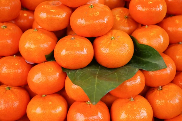 Close Slice Orange Fruit Bowl — Stock Photo, Image