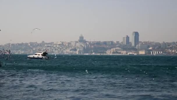 Ferryboat Sail Bosphorus River Istanbul — 图库视频影像