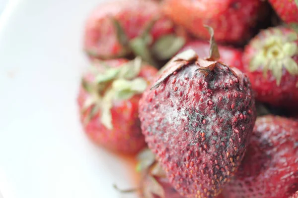 Grauschimmel Auf Erdbeeren Auf Dem Tisch — Stockfoto