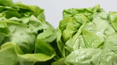 Masadaki marul yaprağını kapat. ,