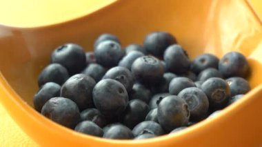 Yakın mesafeden taze böğürtlen toplayın. .